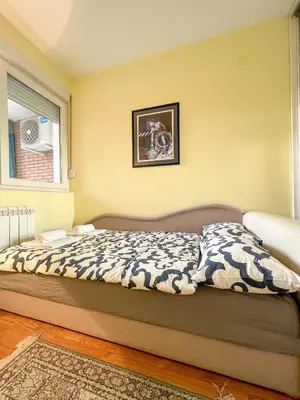 Gallery image of Mega Lux Apartment in Vračar (historical)