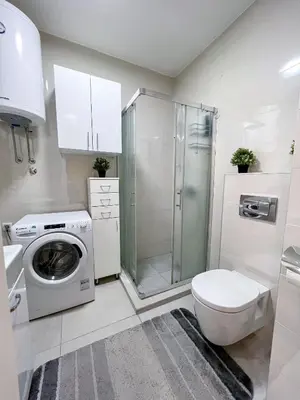 Gallery image of Mega Lux Apartment in Vračar (historical)
