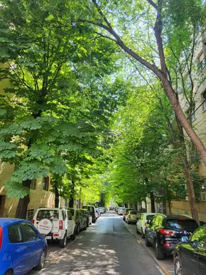 a tree lined street with cars parked on the sides at Slavija Lux! 2 Bedroom Apartment city center in Belgrade