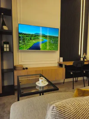 a living room with a flat screen tv on a wall at Dimiant Lux River BW in Sajmište