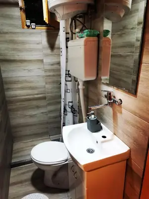 a bathroom with a toilet and a sink at Brvnara in Arandjelovac