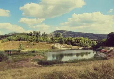 a lake in the middle of a field with trees at Brvnara in Arandjelovac