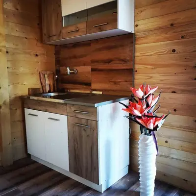 a kitchen with a sink and a vase of flowers at Brvnara in Arandjelovac