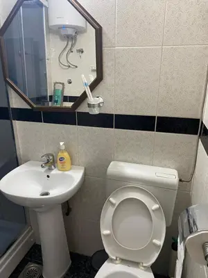 a bathroom with a toilet and a sink and a mirror at Apartman Felix in Zvezdara