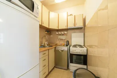 a small kitchen with a stove and a sink at Panorama Central - Vračar Apartment in Belgrade