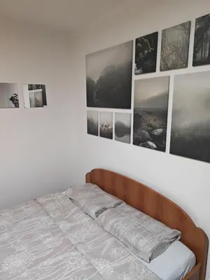 a bedroom with a bed with pictures on the wall at Kraljevica Marka Apartman in Belgrade