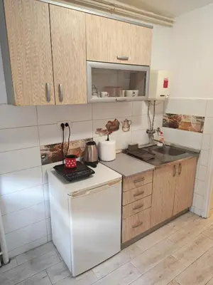 a small kitchen with a stove and a refrigerator at Kraljevica Marka Apartman in Belgrade