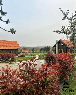 a garden with red bushes in front of a building at Ozoni & Spa in Sopot