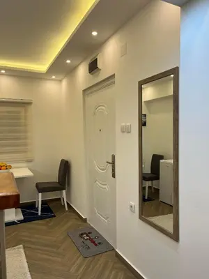 a waiting room with a door and a mirror at Surčin Centar apartment in Surčin