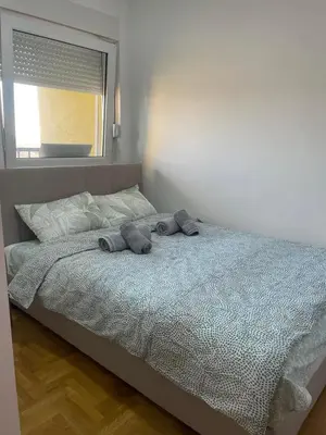a bedroom with a bed with two pillows and a window at LV Apartments in Belgrade