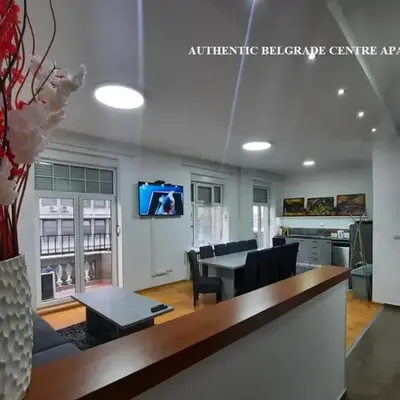 Authentic Belgrade Centre Apartments for large groups
