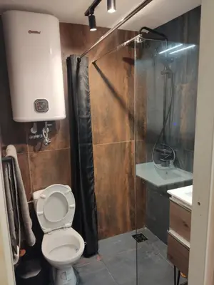 a bathroom with a shower and a toilet and a sink at The nest in Dušanovac (historical)
