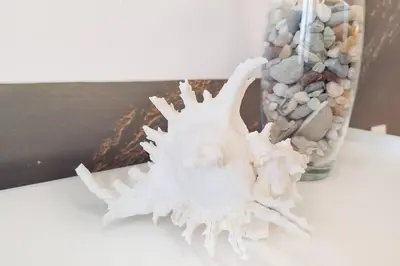 a shell sitting on a table next to a vase with rocks at Urban Haven in Ledine