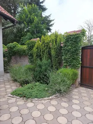 a garden with a fence and some bushes at Kuca na Savi - Stari hrast in Vladimirci
