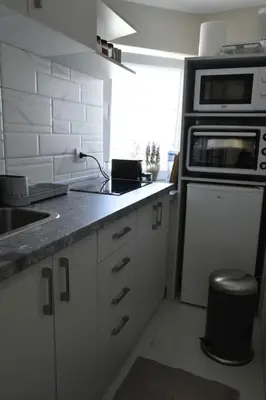 a kitchen with a sink and a microwave at Belgrade Center Penthouse Duplex in Belgrade