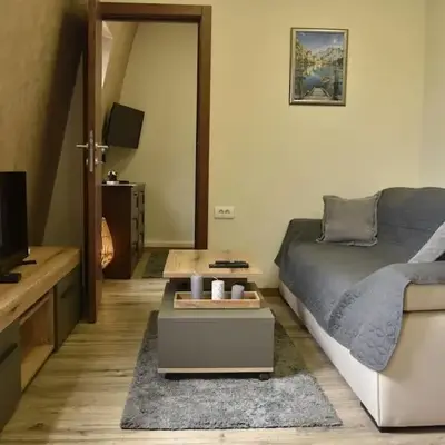 Belgrade Center Penthouse Duplex