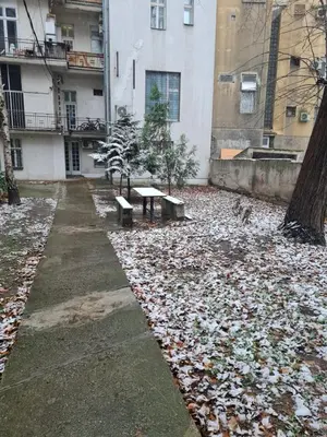 a park with leaves on the ground in front of a building at Centrum 3 in Belgrade