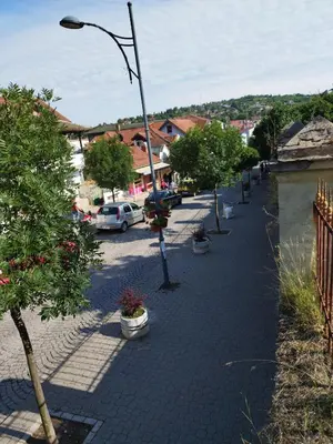 a street with trees and a street light on a sidewalk at Apostolovic kuca kulturni spomenik u centru Grocke in Grocka