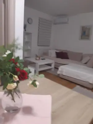 a living room with a vase with flowers in it at Stil Apartman in Smederevo