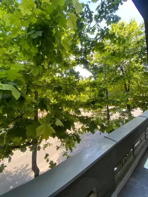 a bench in a park with trees in the background at Apartment Washington in Belgrade