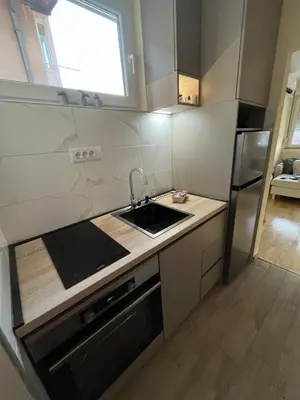 a kitchen with a sink and a refrigerator at My Pier in Bele Vode