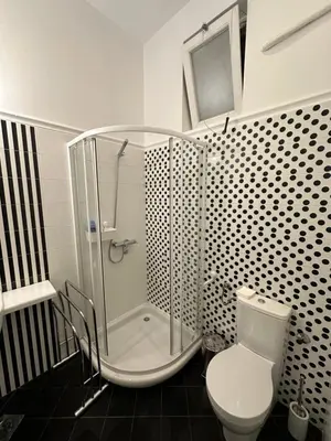 a bathroom with a shower and a toilet at Sofi1 in Belgrade