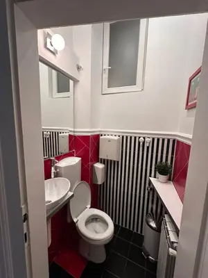 a small bathroom with a toilet and a sink at Sofi 2 in Belgrade