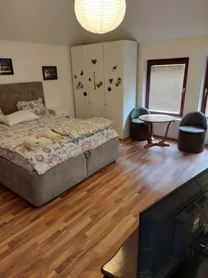 a bedroom with a bed and a flat screen tv at Apartman Birboni Pul ZEMUN in Tošin Bunar