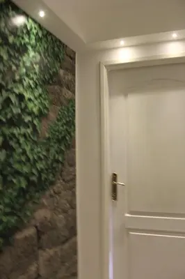 a door in a room with a green wall at Belgrade Waterfront studio in Sajmište