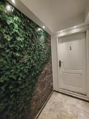a hallway with a green wall with a door at Belgrade Waterfront studio in Sajmište