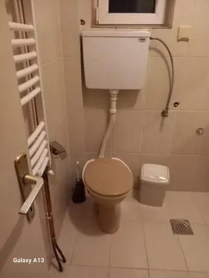 a small bathroom with a toilet and a sink at Apartmani Pavlov in Arandjelovac