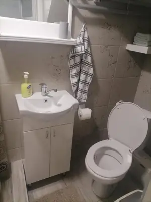 a bathroom with a white toilet and a sink at Stan na dan-MARKOVIĆ- in Dušanovac (historical)