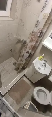 a bathroom with a sink and a toilet and a shower at Stan na dan-MARKOVIĆ- in Dušanovac (historical)