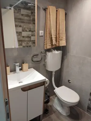 a bathroom with a toilet and a sink and a mirror at Romansa in Dušanovac (historical)