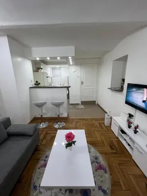 a living room with a couch and a table at Rio Apartman in Belgrade