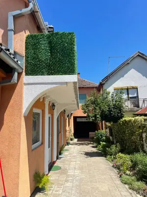 an ivy grows on the side of a building at Mimoza JD in Inđija