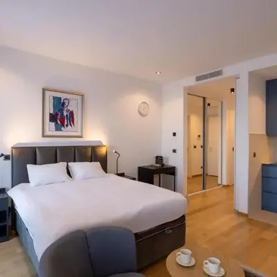 Belgrade Center Apartment Lux 1