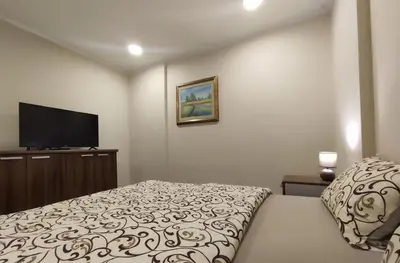 a bedroom with a bed and a flat screen tv at Prenoćište Lana in Novi Banovci