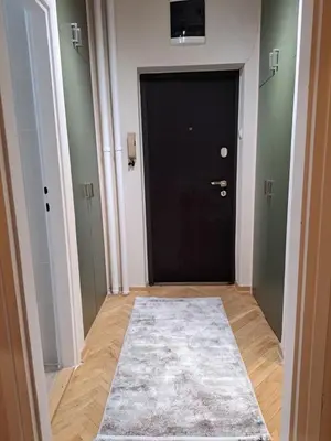 a hallway with a black door and a rug at Ema's Cosy apartment in Belgrade