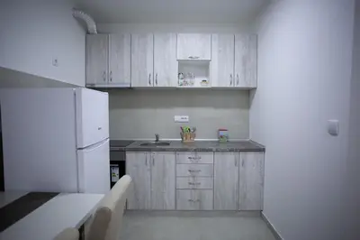 a kitchen with wooden cabinets and a white refrigerator at Apartman Ub in Ub