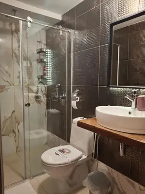 a bathroom with a toilet and a shower and a sink at Park in Lazarevac