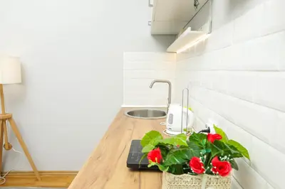 a kitchen counter with a sink and red flowers on it at Studio 91 with Great WI-FI and free parking in Belgrade