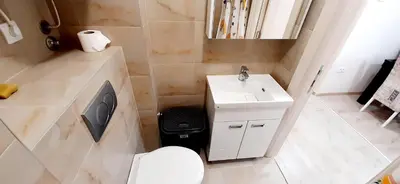 a small bathroom with a sink and a toilet at Apartman Studenjak in Tošin Bunar