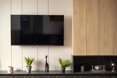 a television on a wall with potted plants on a counter at N65 LUX Apartment in Belgrade
