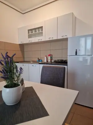 a kitchen with a table and a white refrigerator at Stan Na Dan 022 in Inđija