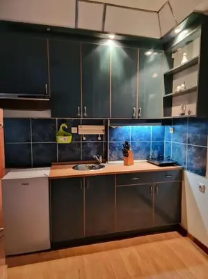 a kitchen with green cabinets and a sink at Dorcol-Basic Apartman in Belgrade