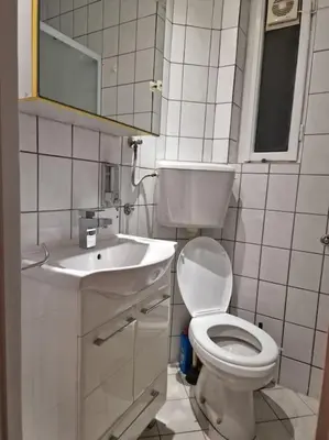 a small bathroom with a toilet and a sink at Dorcol-Basic Apartman in Belgrade