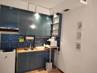 a small kitchen with a sink and a microwave at Dorcol-Basic Apartman in Belgrade