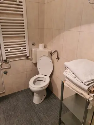 a bathroom with a toilet and a shower with towels at Lavanda in Belgrade