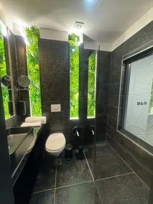 Gallery image of Russ Spa in Mladenovac